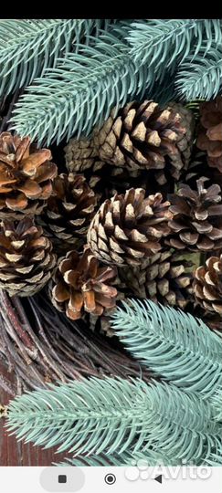 Шишки сосны, лиственницы и ели для декора