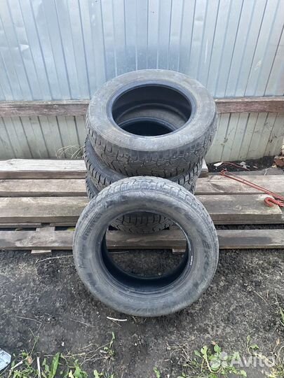 Pirelli Winter Ice Zero 185/65 R14