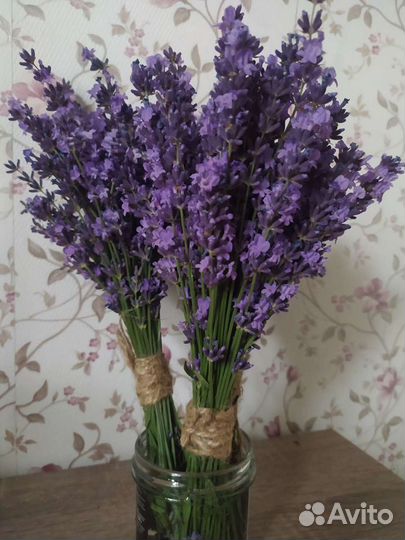 Букет из лаванды