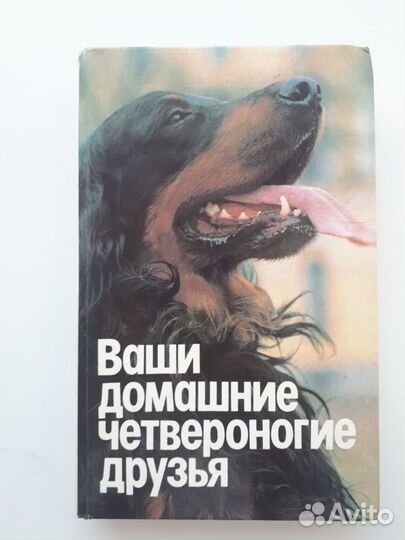 Ваши домашние четвероногие друзья