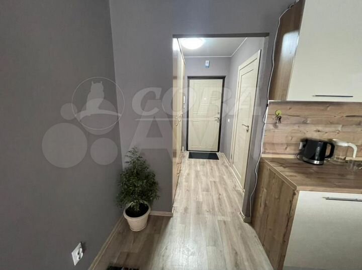 Квартира-студия, 25,1 м², 1/6 эт.