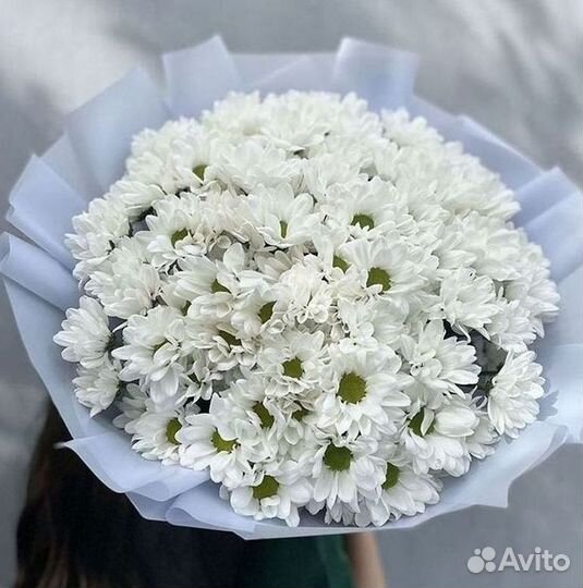 Доставка букетов и цветов. Хризантема