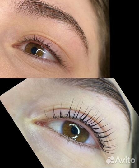 Мастер бровист