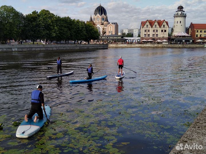 Аренда сапов. Sup board аренда