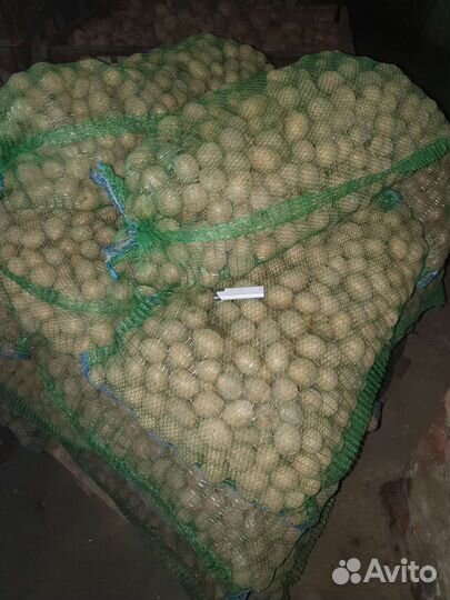 Морковь, картофель на корм животным