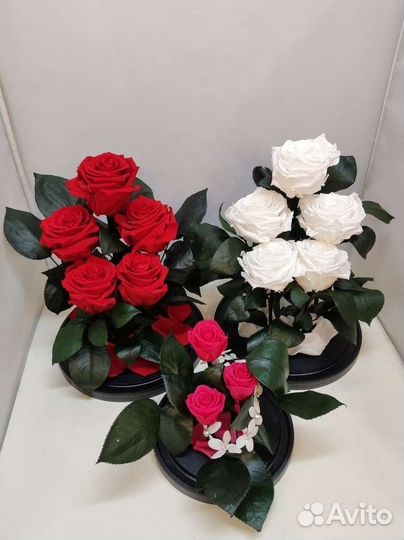 Розы оптом
