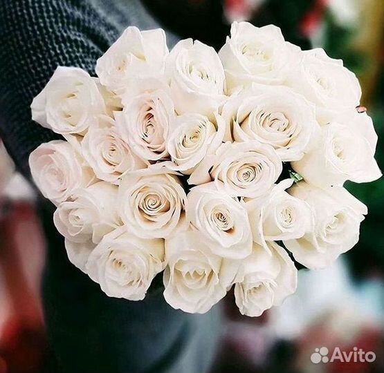 Высокие Розы с Доставкой