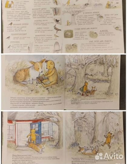 Книга Весна мишки Бруно