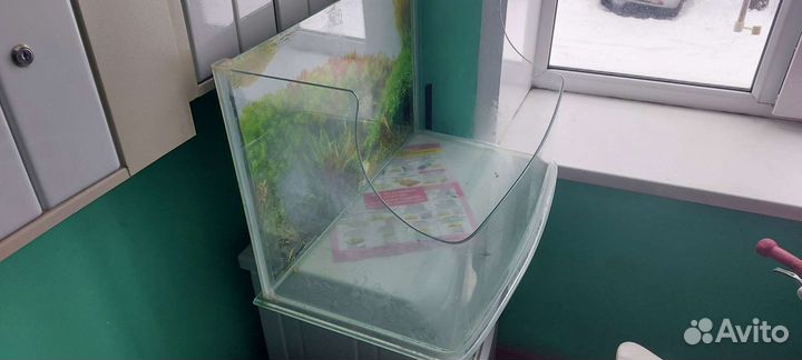 Аквариумом