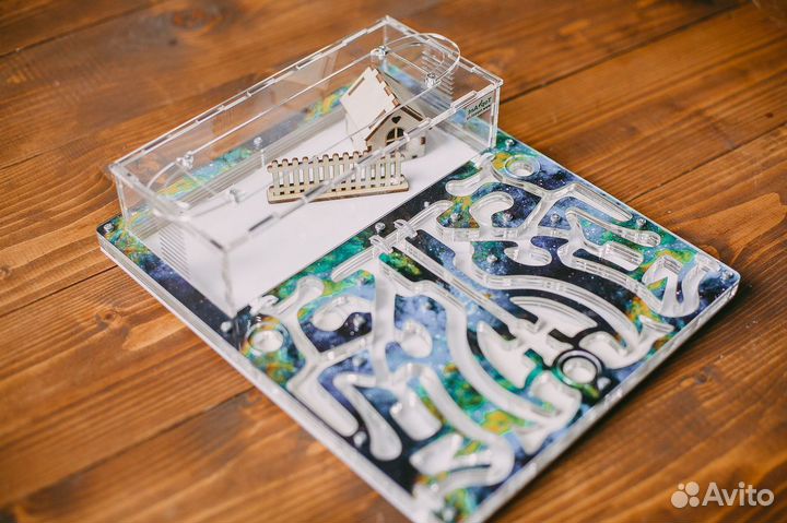 Формикарий / Муравьиная ферма