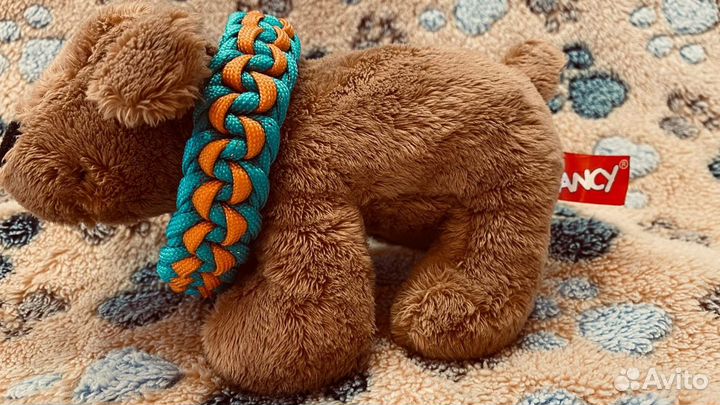 Ошейники из паракорда