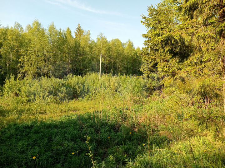 Участок 8 сот. (СНТ, ДНП)