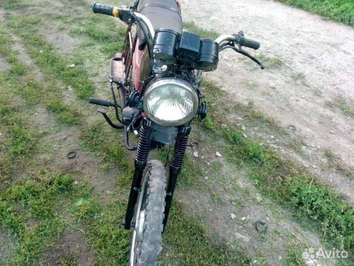 Альфа ягуар