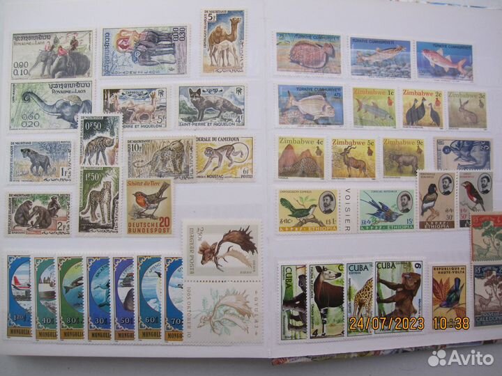 Марки чистые фауна