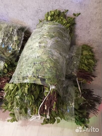 Веники для бани 2024 березовые