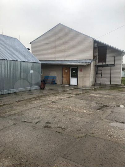 Торговая площадь, 1250 м²