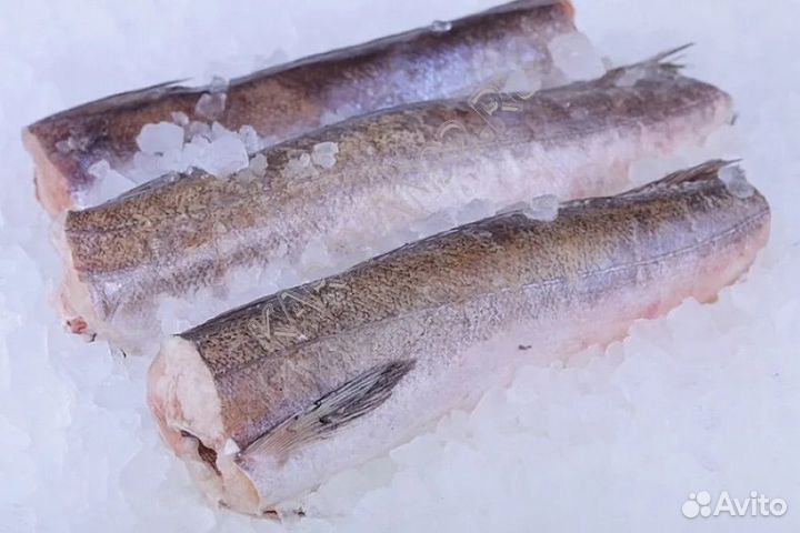 Рыба хек тушка/филе