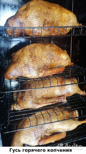 Копченые гуси