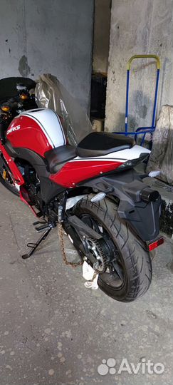 Omaks R11
