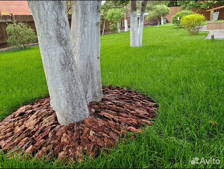 Рулонный газон от производителя Элитный