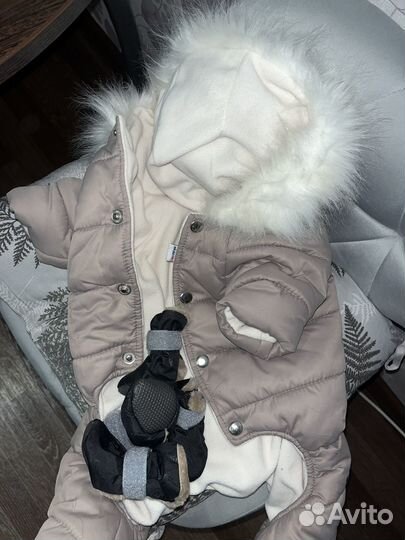 Зимний комбинезон для собаки