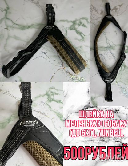 Амуниция для собак