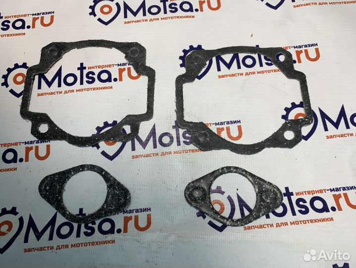 Набор прокладок Буран 2-х канальный (под цил.-2 шт