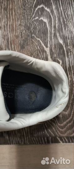 Красотки adidas