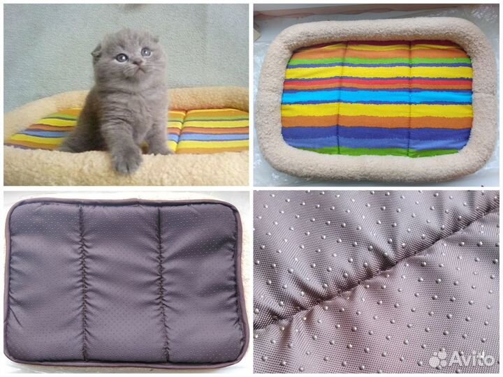 Нашим питомцам