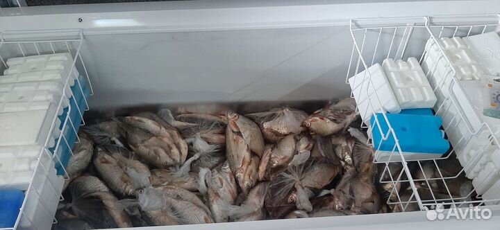 Продукты питания