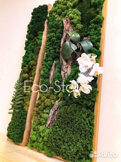 Картина со мхом и орхидеей