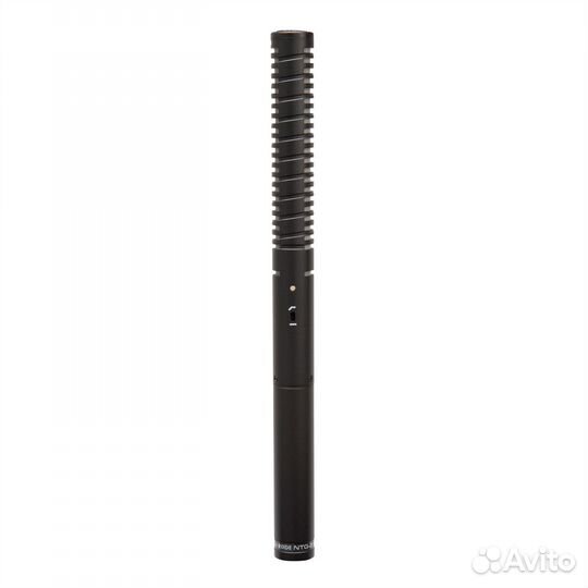 Микрофон Rode NTG-2