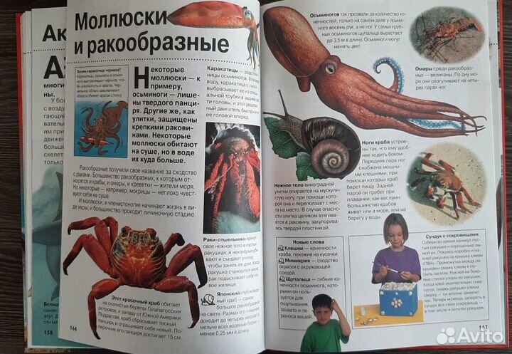 Большая энциклопедия школьника