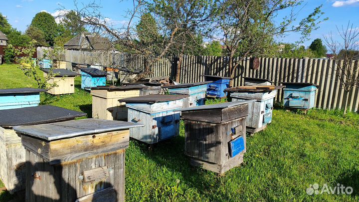 Улей для пчел