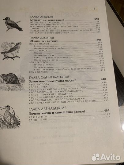 Энциклопедия Удивительные животные