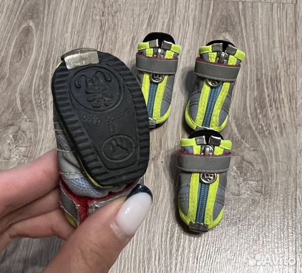 Дождевик, спасательный жилет, когтерез для собаки