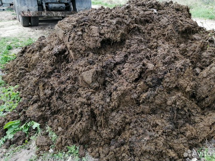 Коровий Навоз с фермы