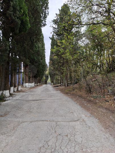 Участок 4,2 сот. (ИЖС)