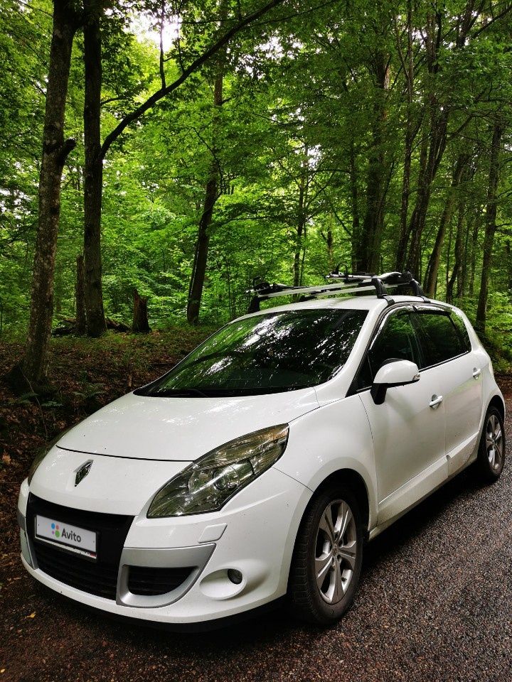 Renault Scenic: фото владельца
