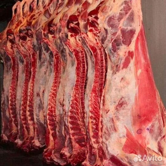 Продам мясо говядины оптом