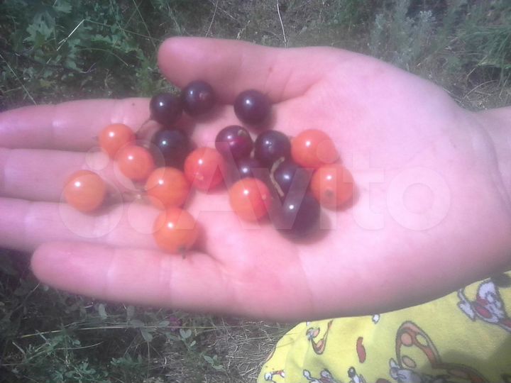 3-к. квартира, 57 м², 1/2 эт.