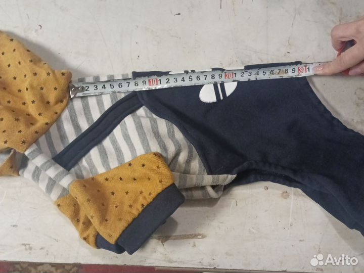 Одежда для собак такса