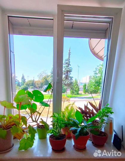 Ремонт Окон, Откосы, Москитные сетки