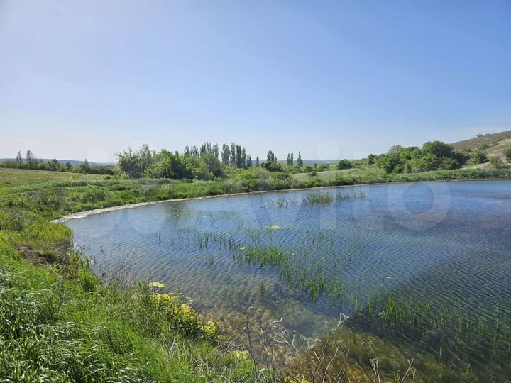 Участок 50 сот. (СНТ, ДНП)