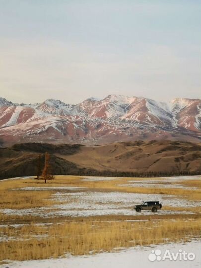 Тур на Алтай