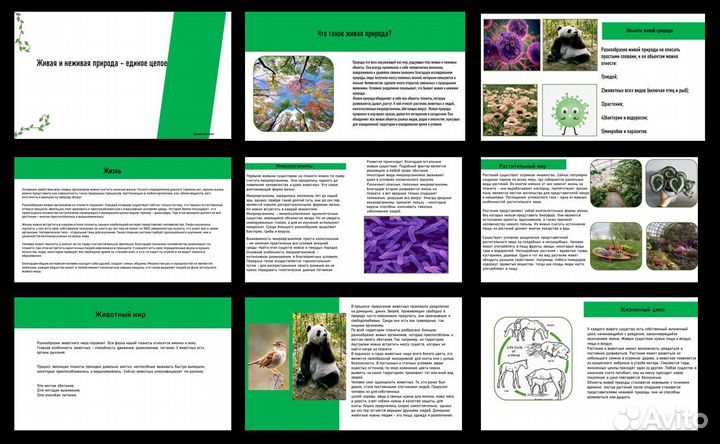 Создание презентации