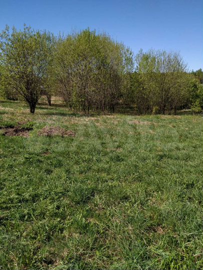 Участок 42 сот. (ИЖС)