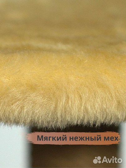 Когтеточка