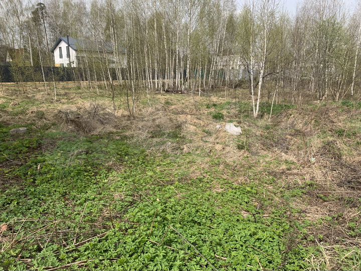 Участок 5,9 сот. (ИЖС)