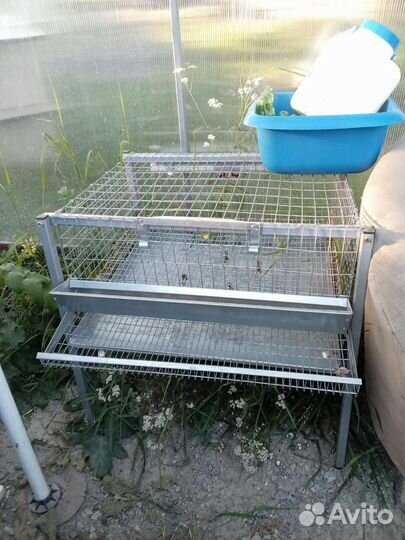 Клетка для перепелов